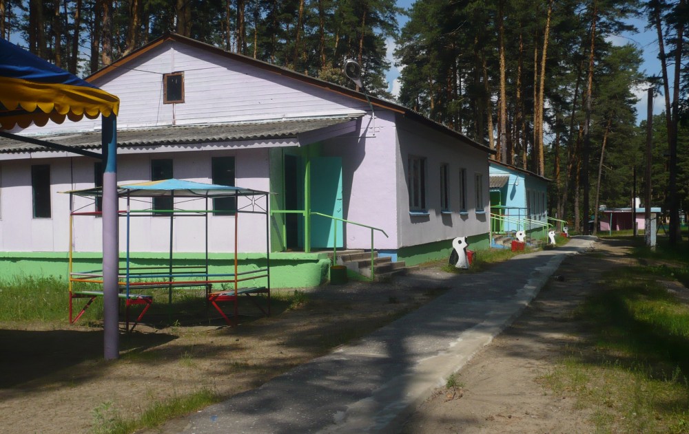 Детские оздоровительный лагерь заря